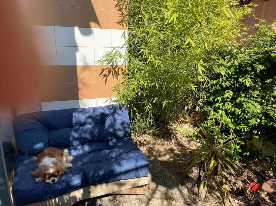 Appartement Charming To 10 Minutes From Aix *
